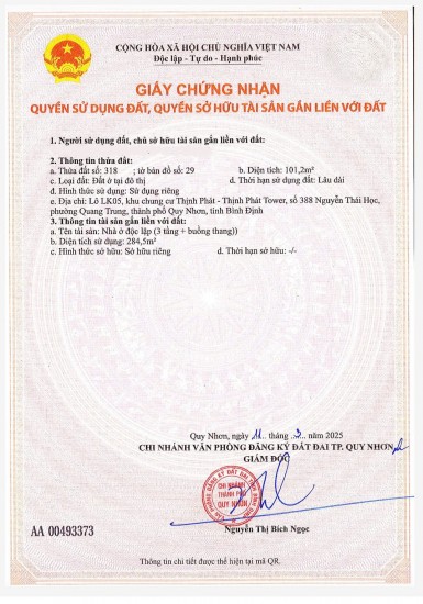 Bán nhà phố 3 tầng đường Thanh Niên, thành phố Quy Nhơn giá 9 tỷ 250 triệu